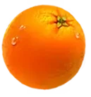 Orange, lemon, plum and cherry symbol payout