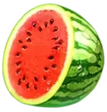 Watermelon and grapes symbol payout